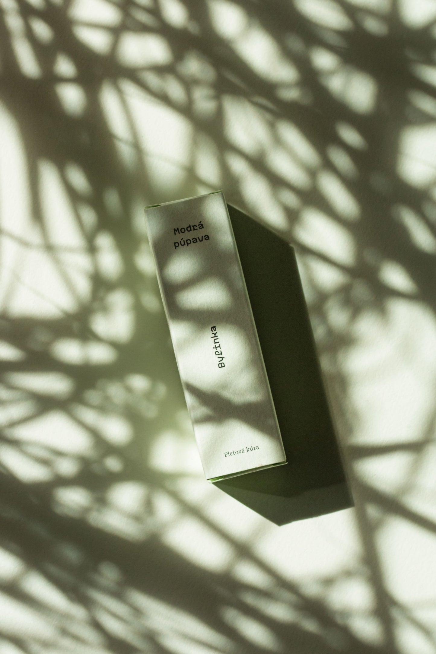 Pleťová kúra Bylinka Modrá púpava, papierová krabička v jemnom svetle s tieňmi bylín, prírodný lifestyle záber